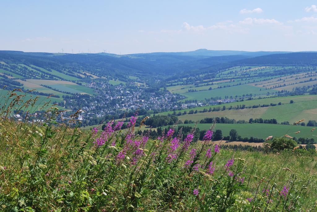 Familien-Ferienwohnung Haustein Konigswalde 部屋 写真